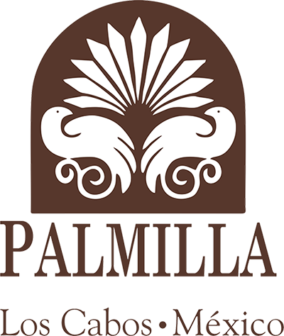 Palmilla